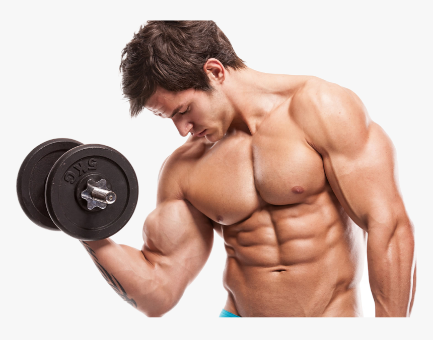 Hombre Png , Png Download - Fitness Model Male Arms, Transparent Png, Free Download