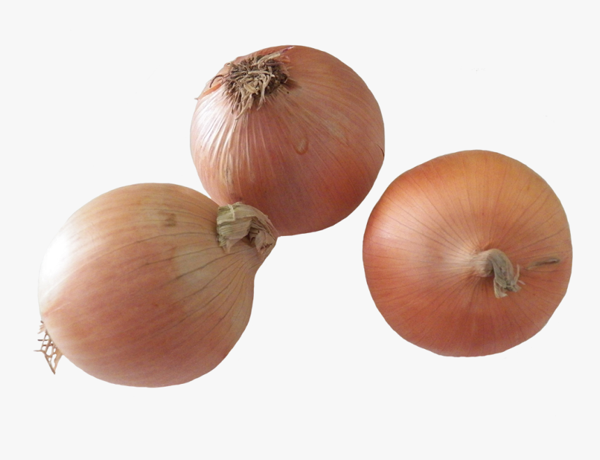 Onions Clipart - Yellow Onion, HD Png Download, Free Download