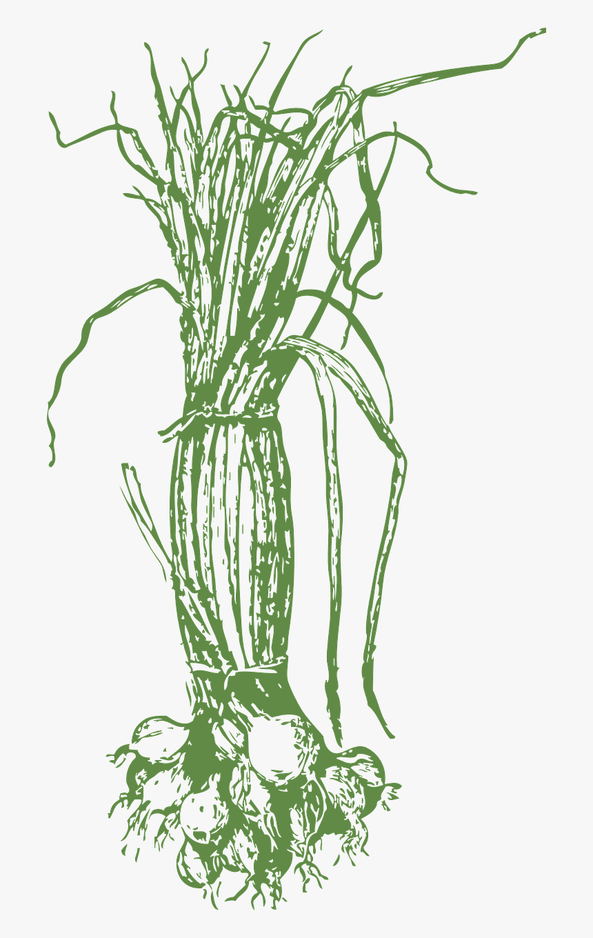 Daun Bawang Siluet Png, Transparent Png, Free Download