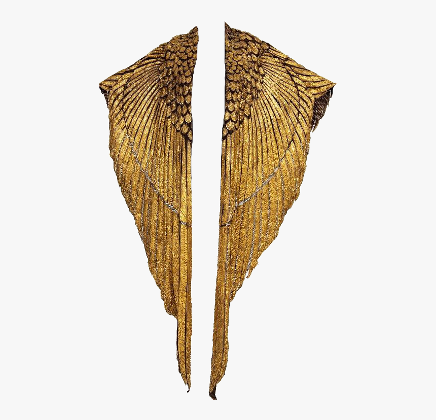 #gold #wings #shawl #pngs #png #cute #trendy #aesthetic - Cape That Looks Like Wings, Transparent Png, Free Download