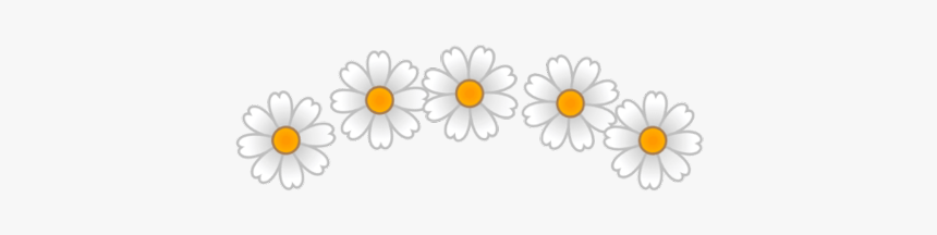 #crown #flower #crown #aesthetic #crown #flowercrown - Cartoon, HD Png Download, Free Download