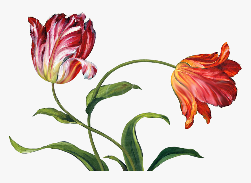 Flowers, Pattern, Kx/46, Png V - China Painting Flowers, Transparent Png, Free Download