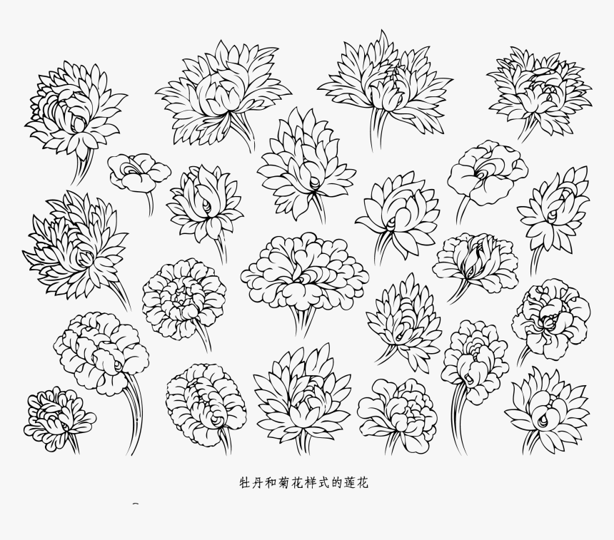 Tibet Flower Pattern Vector - 蓮花 白描, HD Png Download, Free Download