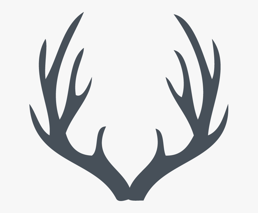 Deer Antler Png, Transparent Png, Free Download