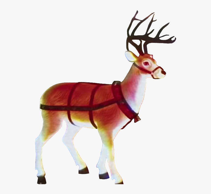 Reindeer, HD Png Download, Free Download