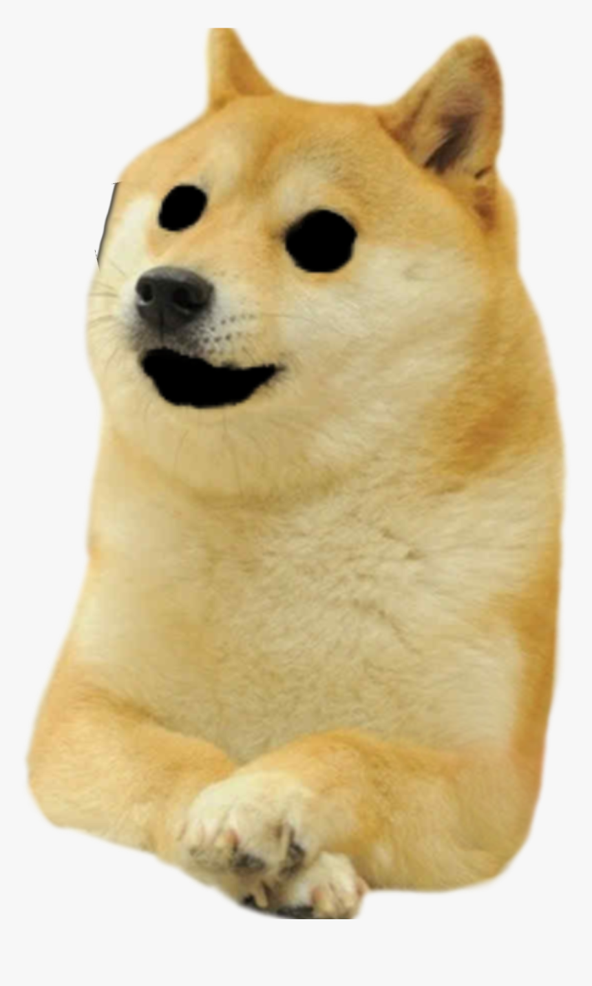 Doge Head Png, Transparent Png, Free Download