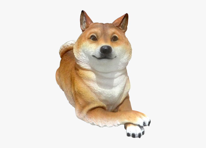 Shiba Png, Transparent Png, Free Download