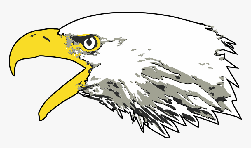 Eagle,bald Eagle,screaming Head - Screaming Eagle Png, Transparent Png, Free Download