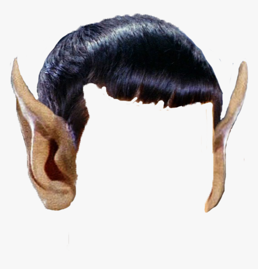 Trump Wig Png, Transparent Png, Free Download