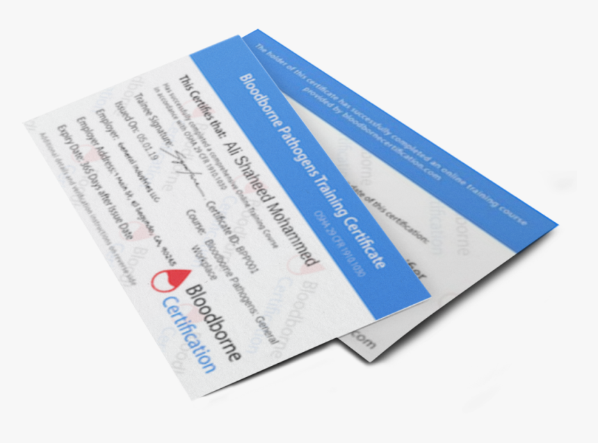 Bloodborne Pathogen Certificate - Label, HD Png Download, Free Download