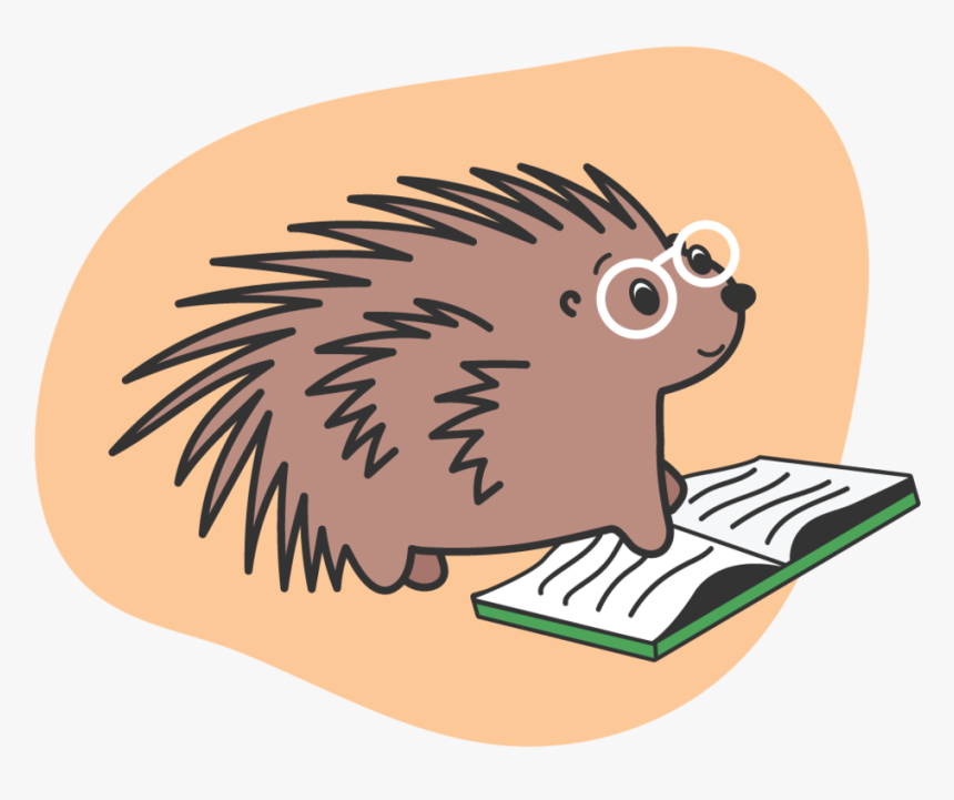 Porcupine-reading - New World Porcupine, HD Png Download, Free Download