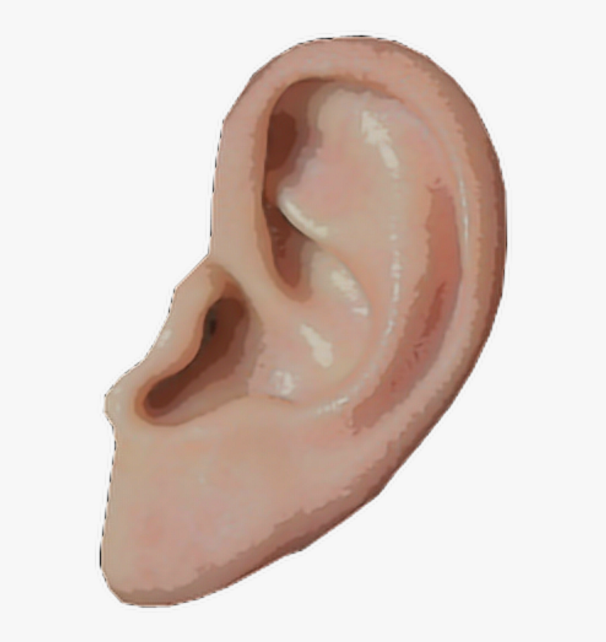 #art #aesthetic #vaporwave #pngs - Transparent Background Ear Png, Png Download, Free Download