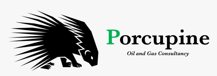 Porcupine Logo , Png Download - Graphic Design, Transparent Png, Free Download