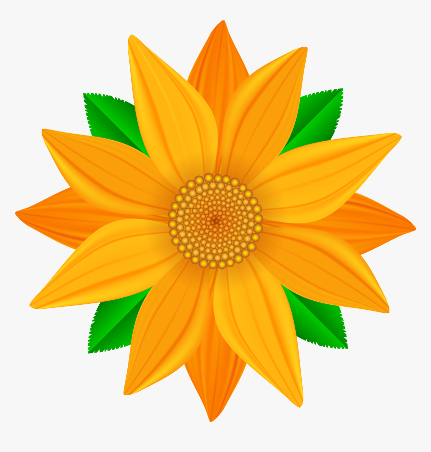 Transparent Flower Orange Background , Png Download - Clipart Flowers Png, Png Download, Free Download