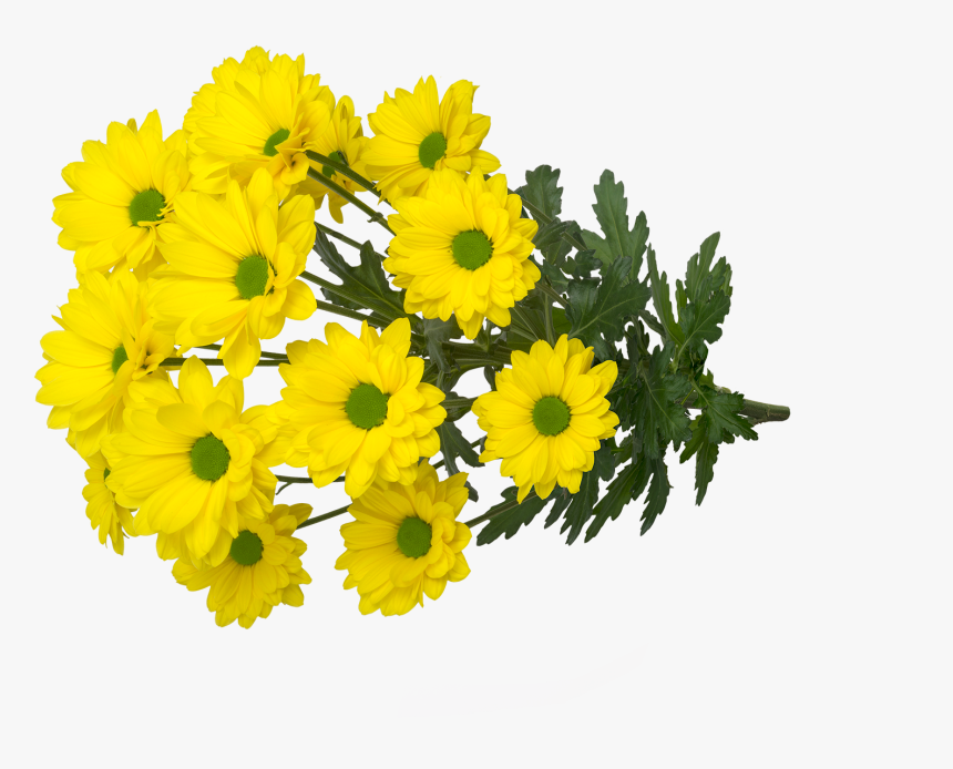 Yellow Strike2 - Bouquet, HD Png Download, Free Download