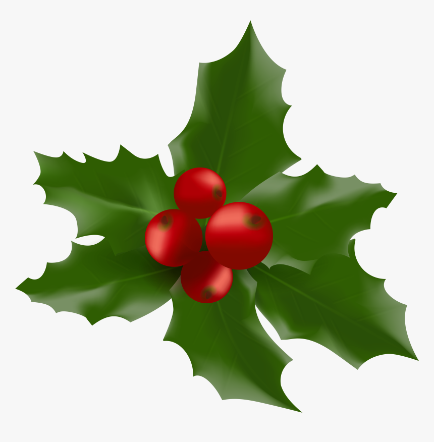 Mistletoe Clip Art - Mistletoe Png, Transparent Png, Free Download