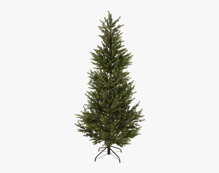 Christmas Tree Malung - Christmas Trees, HD Png Download, Free Download