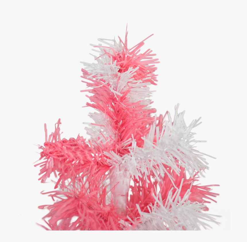 Pink & White Tree, HD Png Download, Free Download