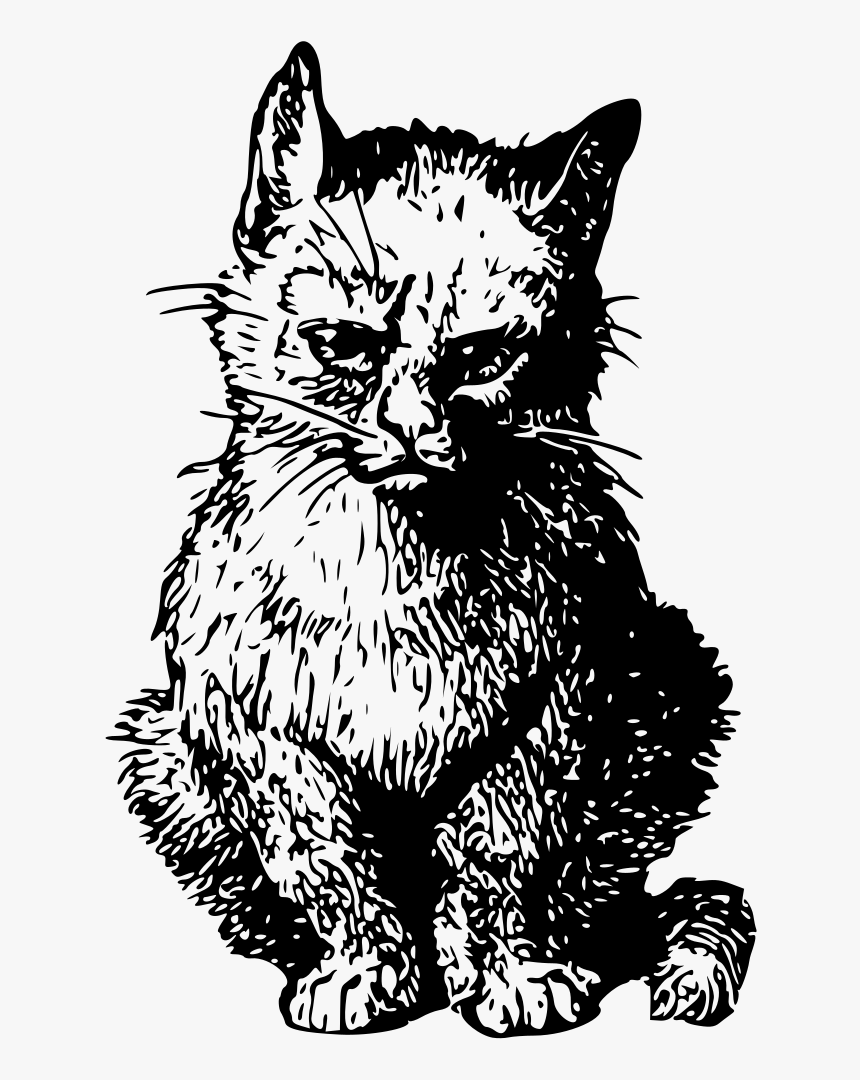 Angry Cat - Angry Cat Png Clipart, Transparent Png, Free Download