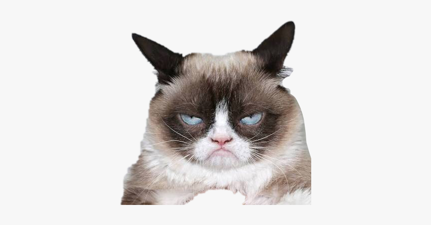angry #cat #funny #meme #mad #lol#freetoedit - Dont Be Grumpy Smile, HD Png  Download - kindpng