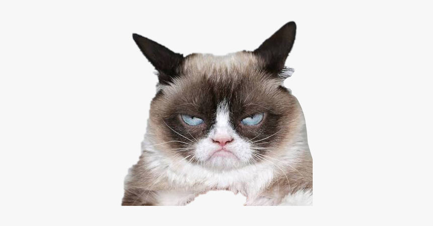 #angry #cat #funny #meme #mad #lol#freetoedit - Dont Be Grumpy Smile, HD Png Download, Free Download