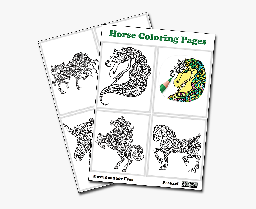 Horse Coloring Pages - Cartoon, HD Png Download, Free Download