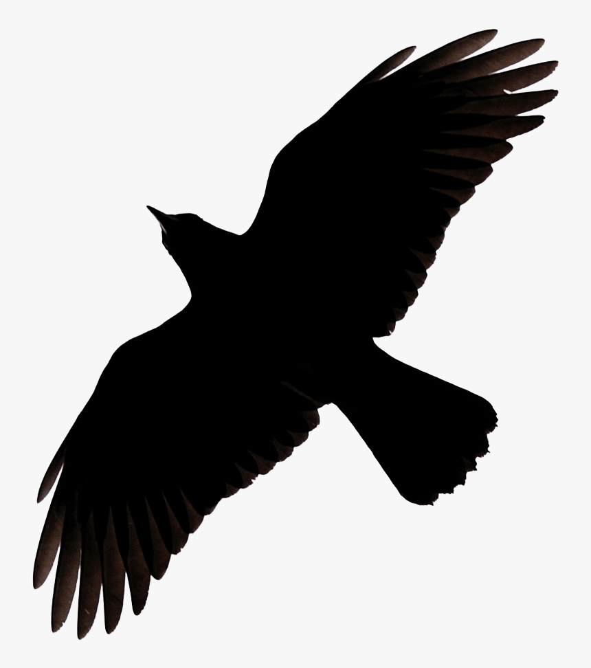 Flying Crow Raven Clip Art - Raven Flying Silhouette, HD Png Download, Free Download
