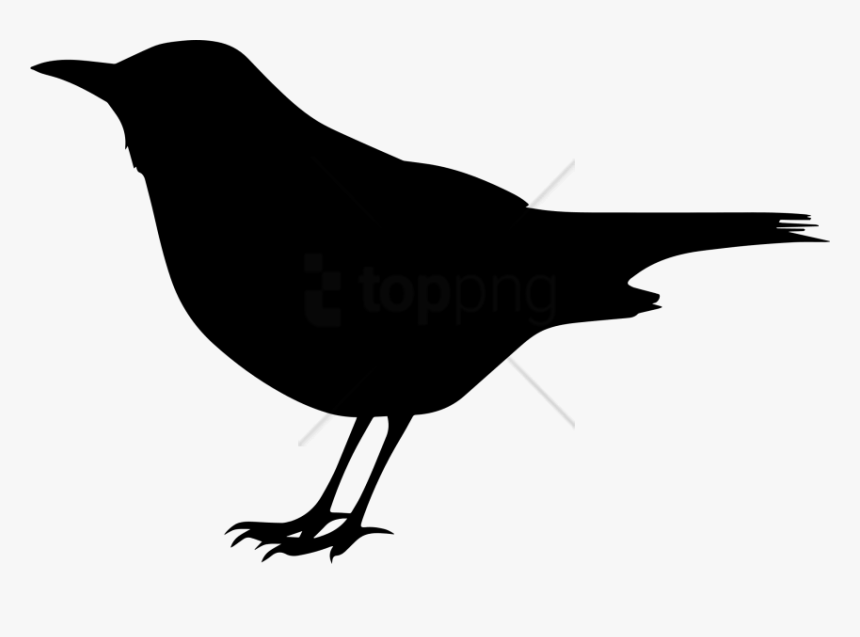 Black Bird Clip Art - Clipart Black Bird, HD Png Download, Free Download