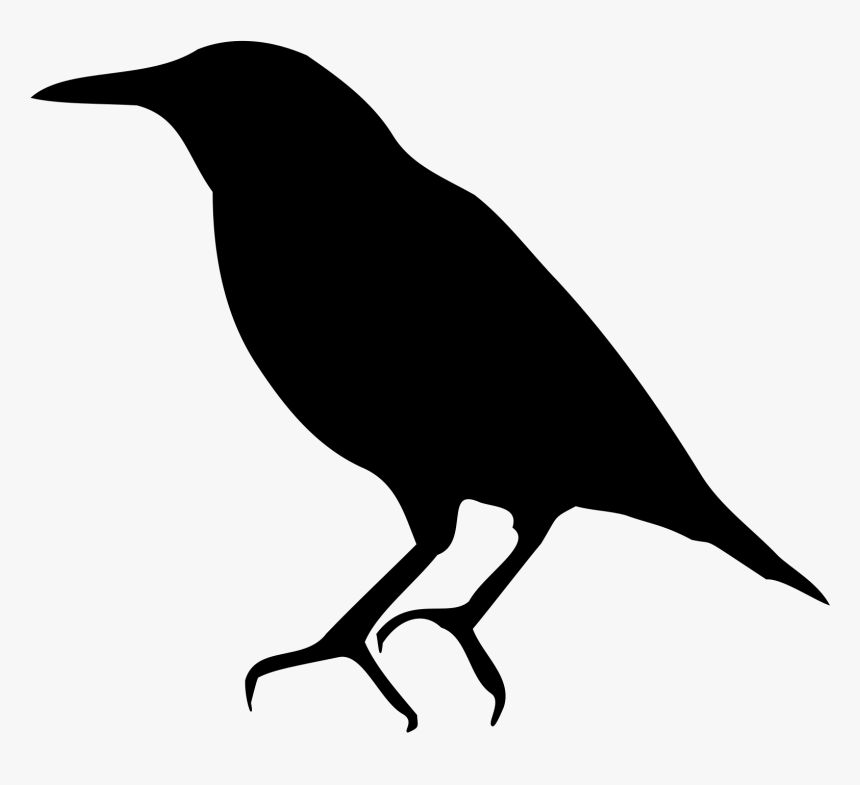 Starling Png Background Image - European Starling Clip Art, Transparent Png, Free Download