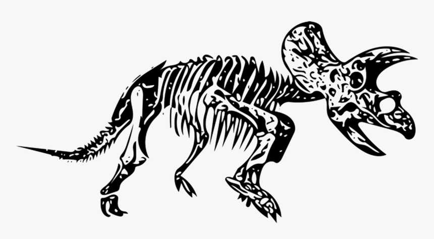 Transparent Dinosaur Bones Png - Dinosaur Fossils No Background, Png Download, Free Download