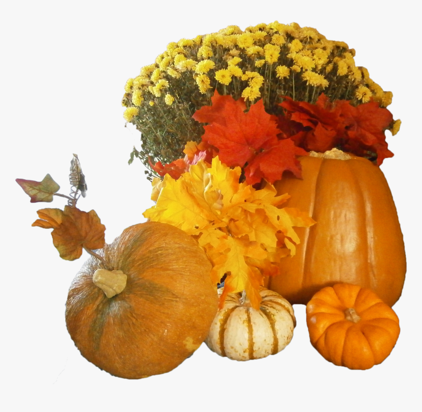 Free Thanksgiving Flowers And Pumpkins Png Image - Thanksgiving Pumpkins Png, Transparent Png, Free Download