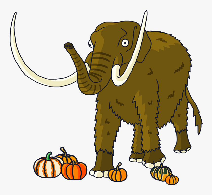 Indian Elephant, HD Png Download, Free Download