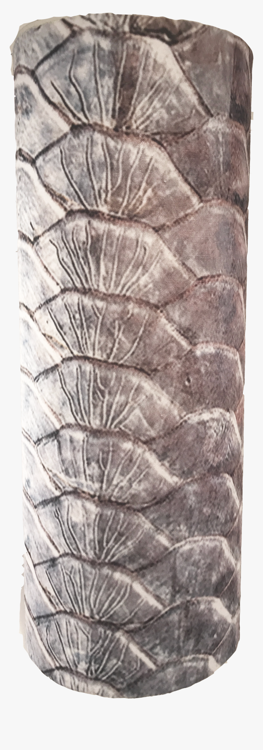 Tarpon Scales, HD Png Download, Free Download