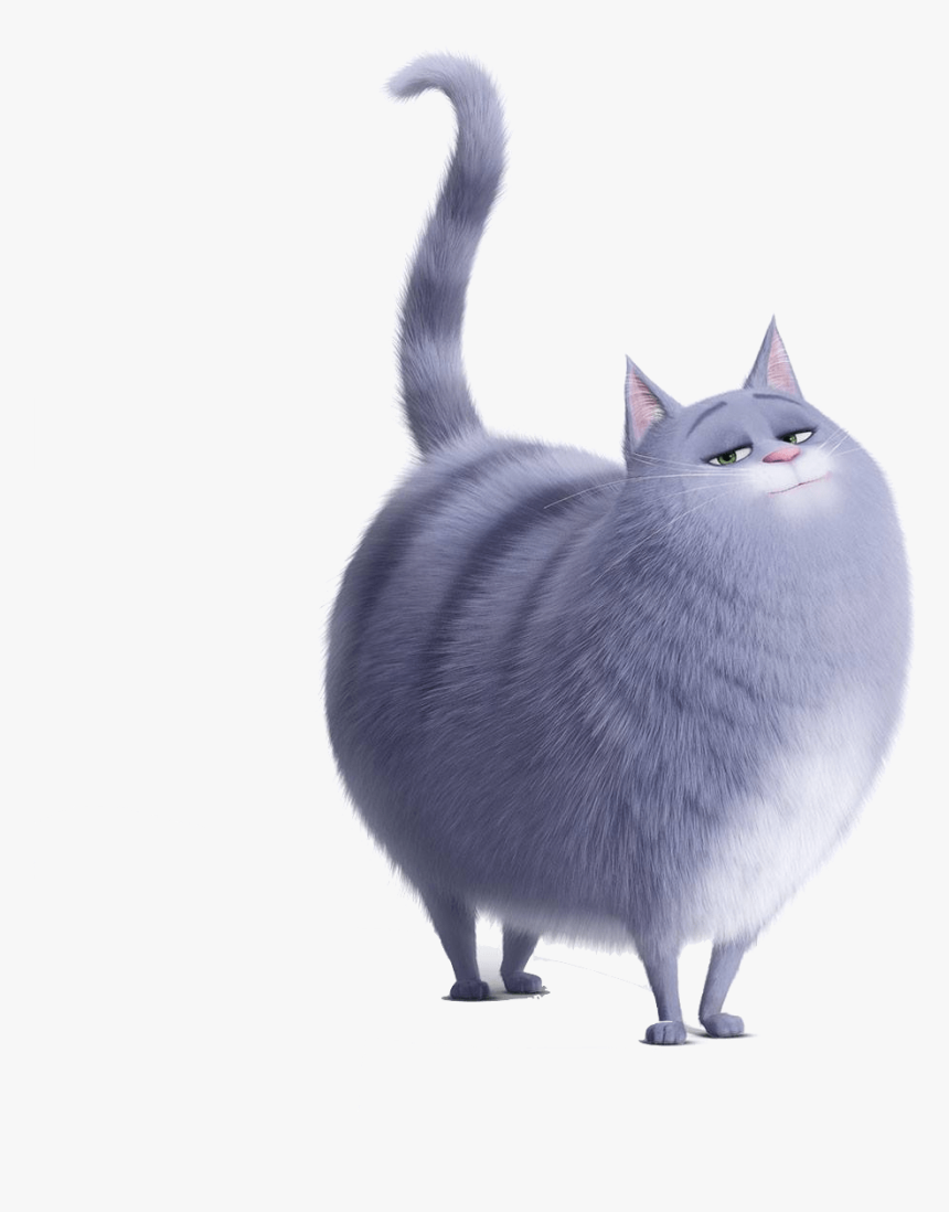 Chloe Tail In The Air - Secret Life Of Pets 2 Chloe, HD Png Download, Free Download