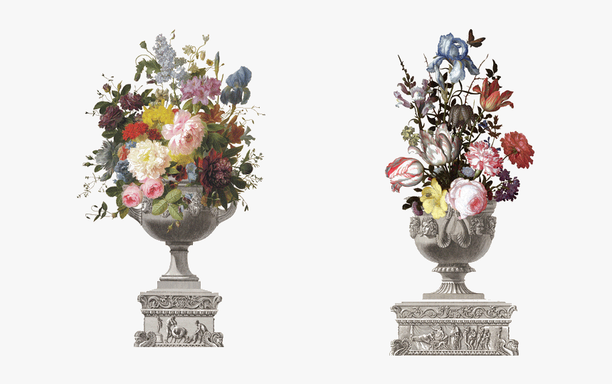 Classical Flower Vase Png Photos - Flowers In A Vase With Shells And Insects, Transparent Png, Free Download