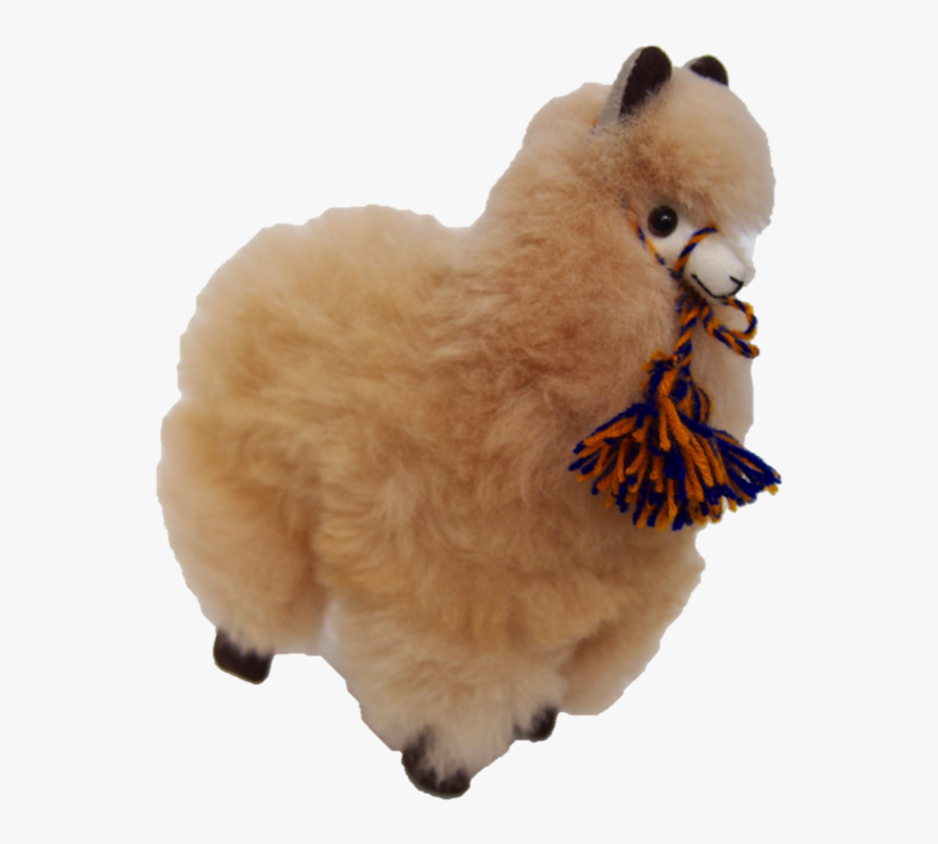 Sheep, HD Png Download, Free Download