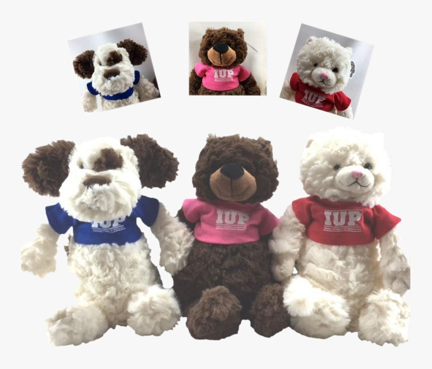 Stuffed Animal, Fuzzy Bunch With Iup T-shirt - Teddy Bear, HD Png Download, Free Download