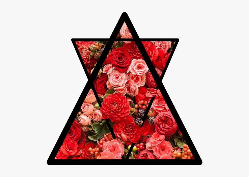 #tumblr #flowers #pinkflowers #redflowers #roses #pinkroses - Png Flower Red, Transparent Png, Free Download