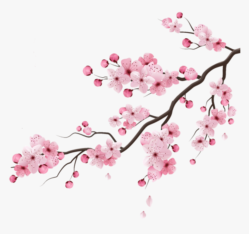 #cherry #cherryblossom #blossom #peachflower #peach - Transparent Cherry Blossom Vector, HD Png Download, Free Download
