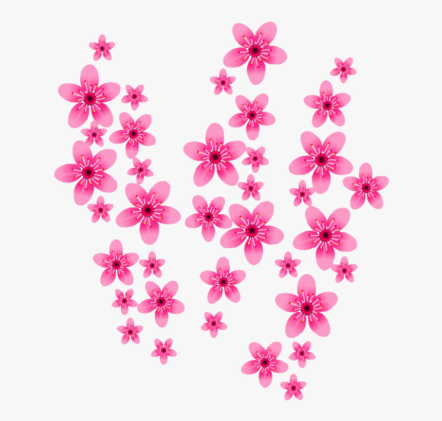 Cherry Blossom Png No Background - Moth Orchid, Transparent Png, Free Download