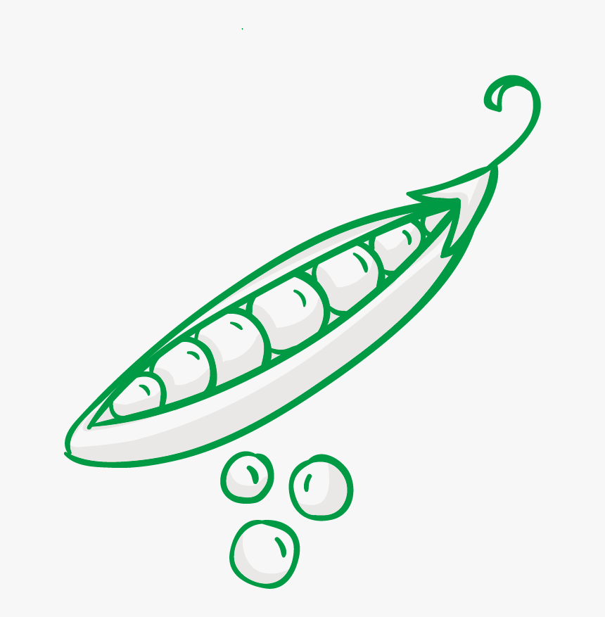 Transparent Green Beans Clipart - Thanksgiving Dinner Drawings, HD Png Download, Free Download