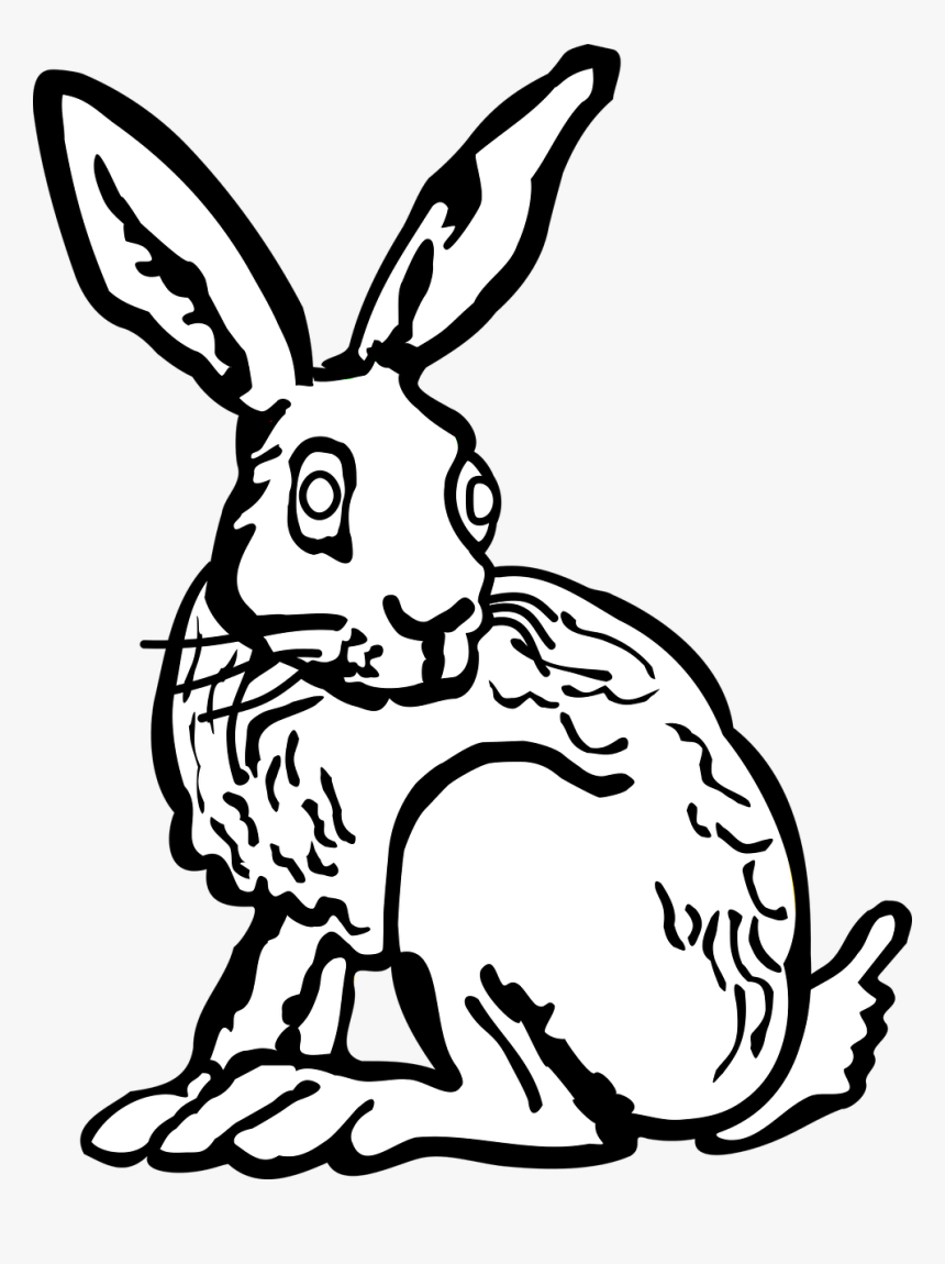 White Rabbit Drawing Transparent Background, HD Png Download, Free Download
