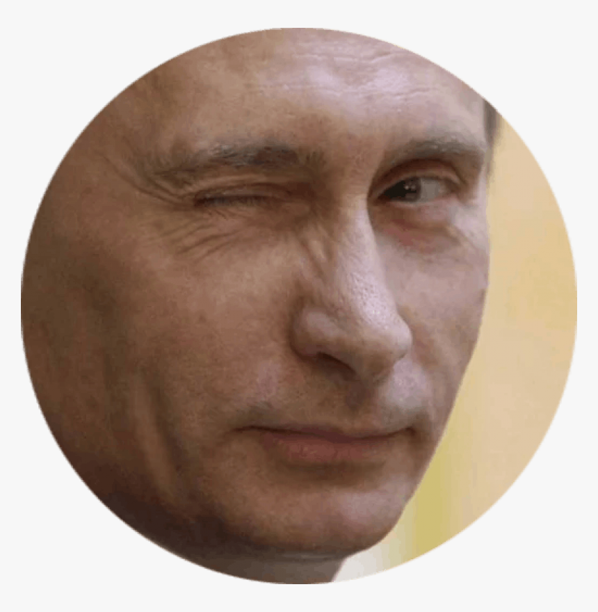 Vladimir Putin Png Image - Vladimir Putin Icon, Transparent Png, Free Download