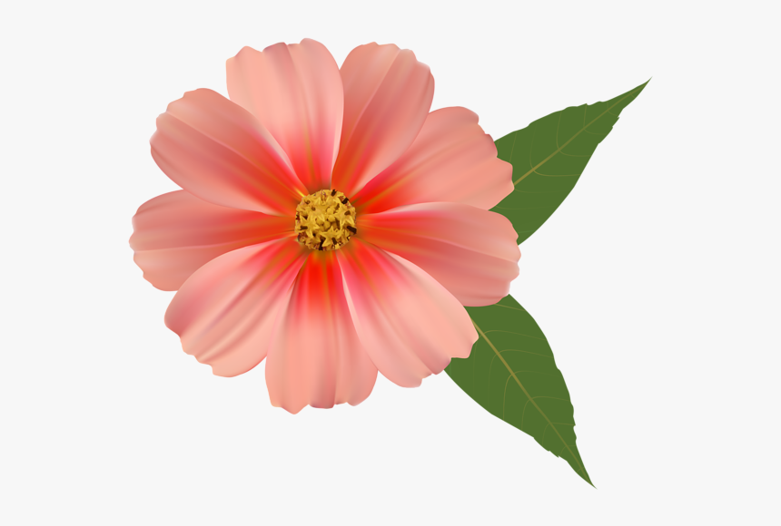 Flowers Png Image Download, Transparent Png, Free Download