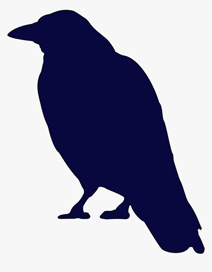 Crow Bird Raven Free Photo - Crow Silhouette, HD Png Download, Free Download