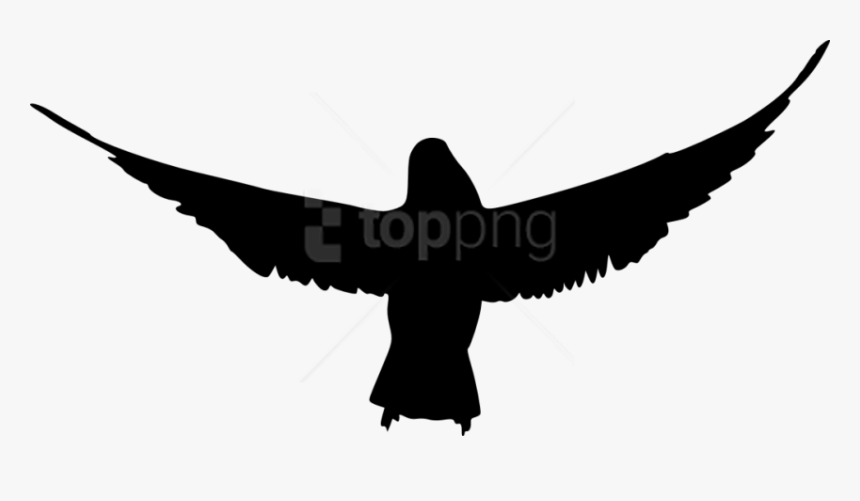 Bird Silhouette Png - Bird Silhouette Transparent Background, Png Download, Free Download