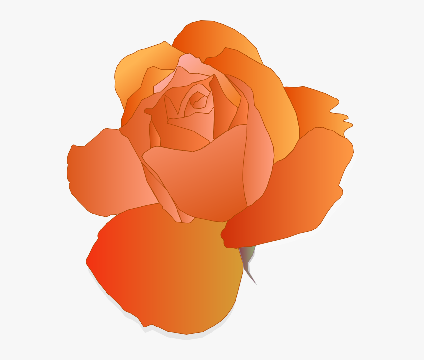 Orange Rose - Red Roses Cute Clipart, HD Png Download, Free Download