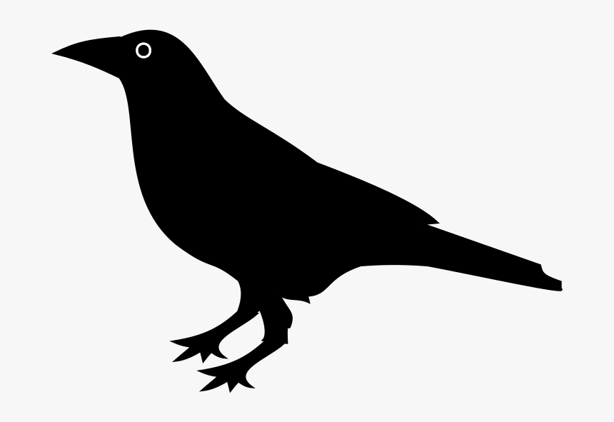 Raven Png - Raven Clipart, Transparent Png, Free Download