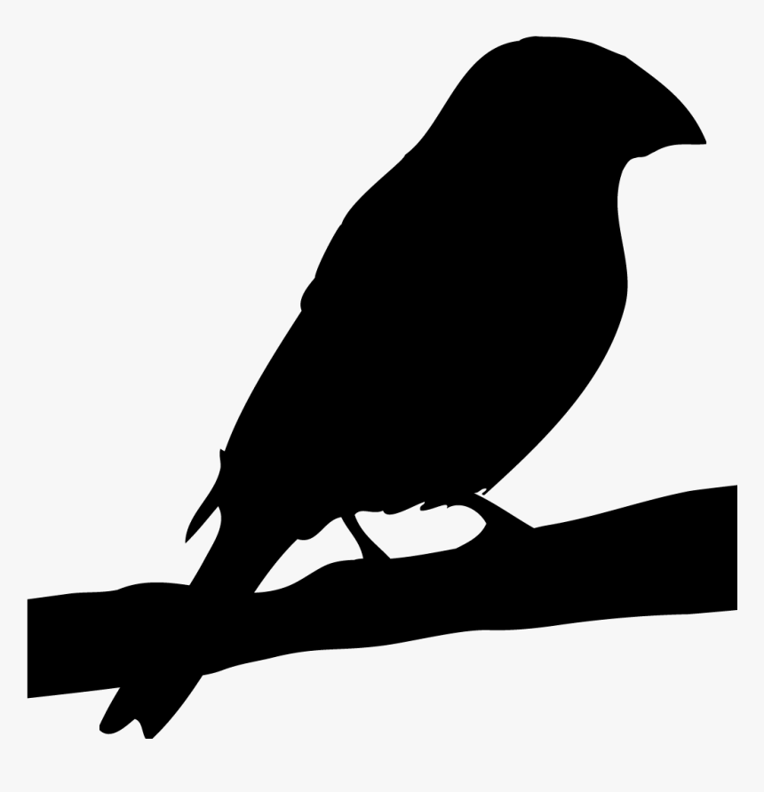 Rose Breasted Grosbeak Silhouette, HD Png Download, Free Download