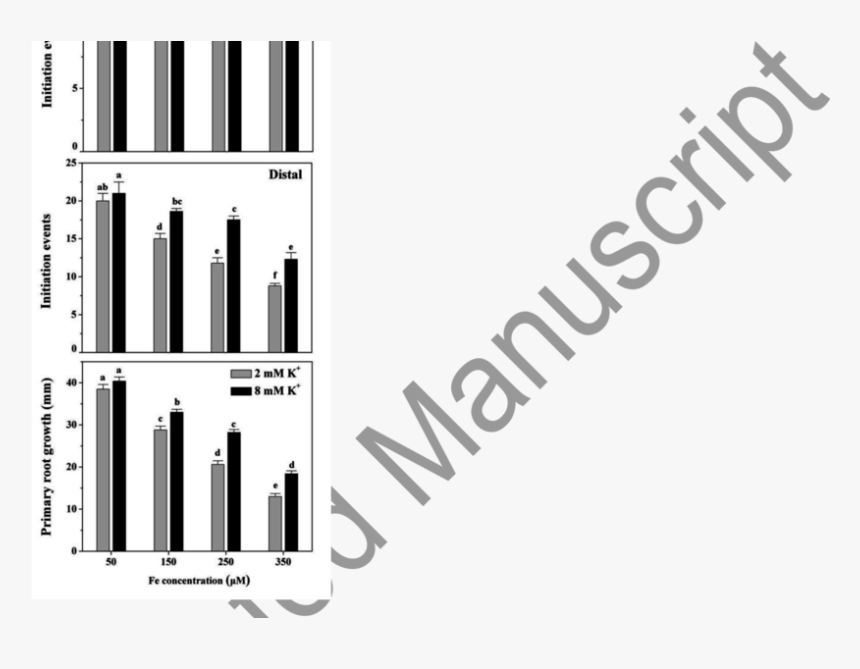 Skin Penetration And Tissue Permeation After Topical, HD Png Download, Free Download